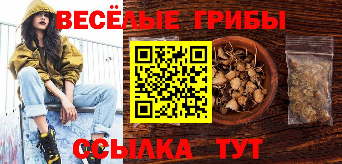 Галлюциногенные грибы Psilocybe  продажа наркотиков  Черногорск  Вход с VPN 