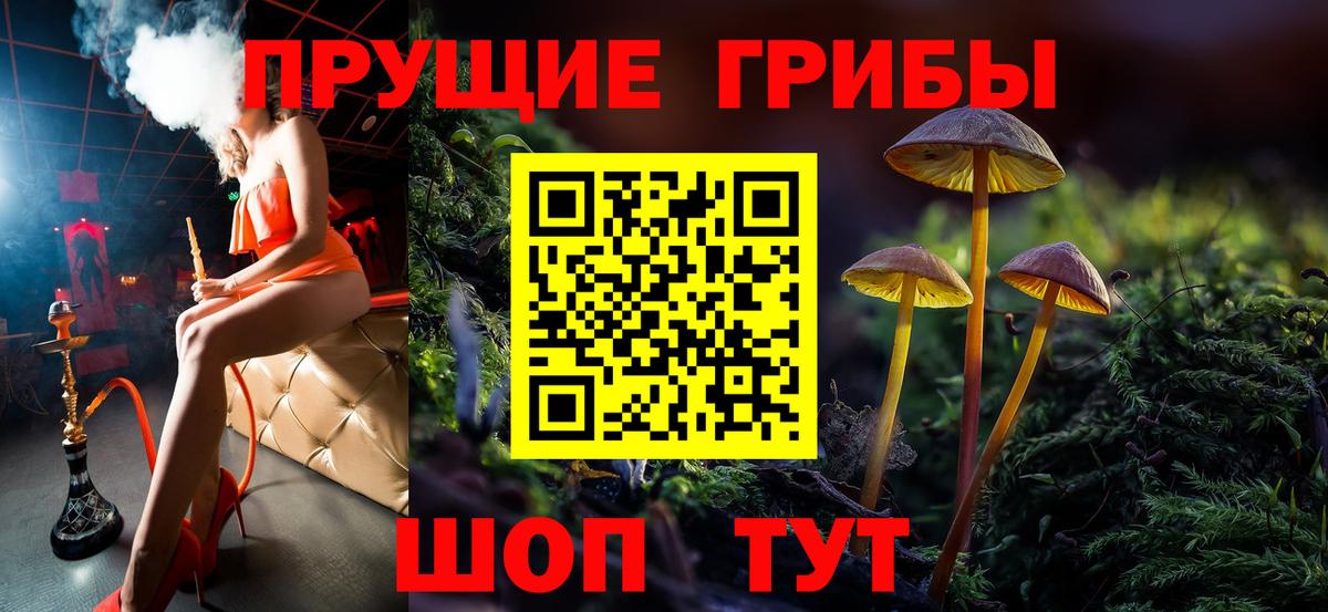 Галлюциногенные грибы GOLDEN TEACHER Черногорск