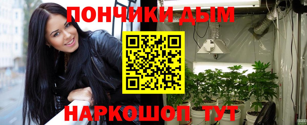 Бошки марихуана VHQ Черногорск